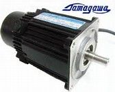 Tamagawa Servo Motor 